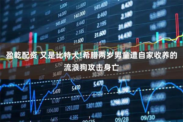 盈乾配资 又是比特犬!希腊两岁男童遭自家收养的流浪狗攻击身亡