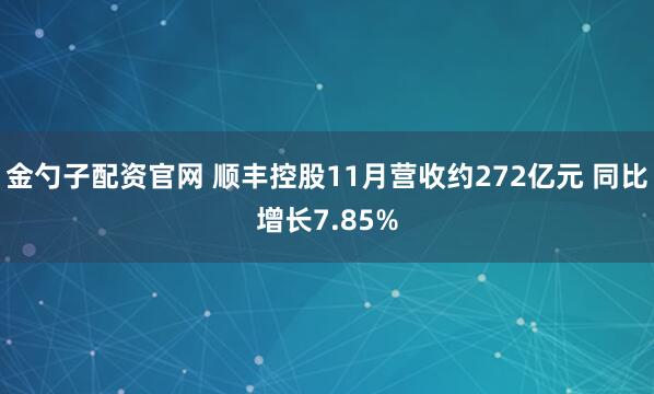 金勺子配资官网 顺丰控股11月营收约272亿元 同比增长7.85%