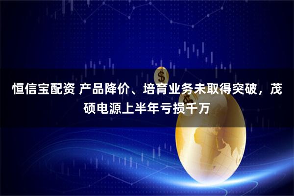 恒信宝配资 产品降价、培育业务未取得突破，茂硕电源上半年亏损千万