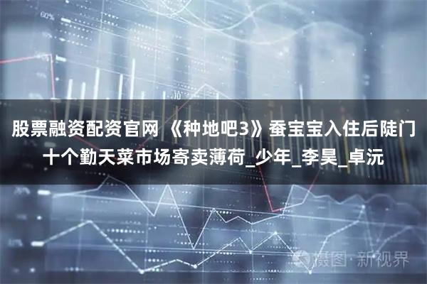 股票融资配资官网 《种地吧3》蚕宝宝入住后陡门十个勤天菜市场寄卖薄荷_少年_李昊_卓沅