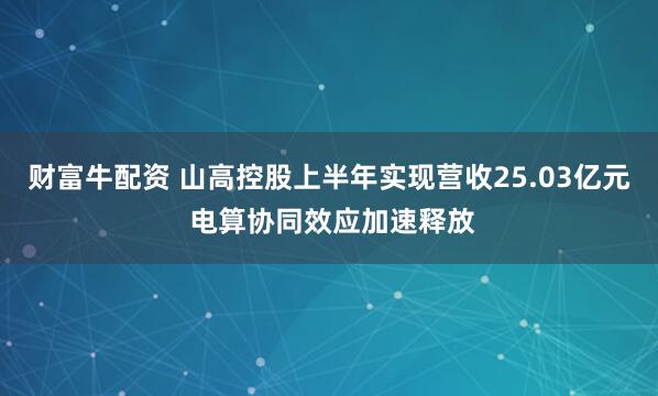财富牛配资 山高控股上半年实现营收25.03亿元 电算协同效应加速释放