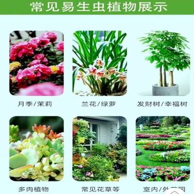 植物药排行榜:24款优良植物药产品推荐