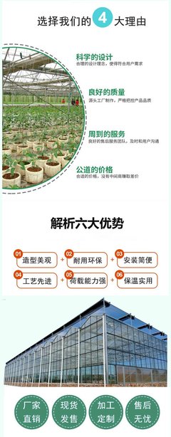 玻璃温室DP-H 景农农业育苗玻璃大棚工程 花卉设计