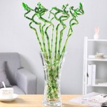重庆玻星玻璃制品厂 热销产品