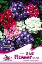 【美女种子】最新最全美女种子 产品参考信息
