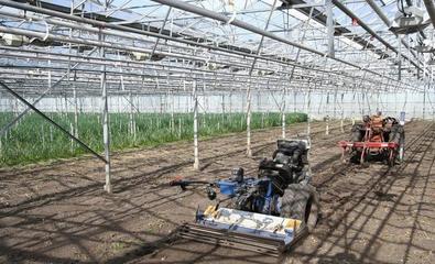 这些国家的植物工厂,已经完全可以用智能机器人代替人工了!