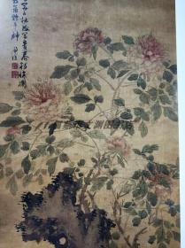 正版 陈淳精品画集 8开精装 画册花鸟水仙图花卉图书画集 天津人民美术出版社